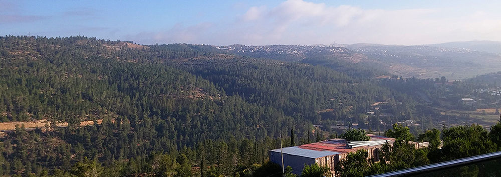 Ein Kerem Hotel Jeruzalém Exteriér fotografie
